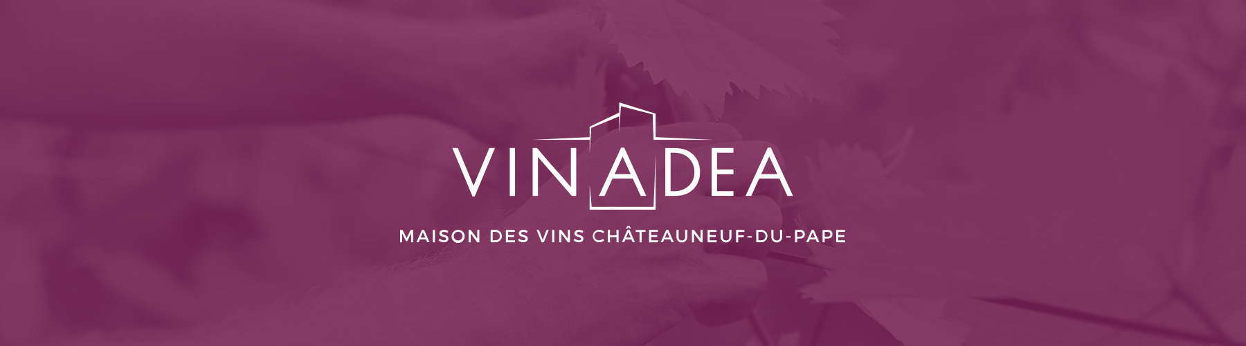 Vinadea: Das Haus der Weine Châteauneuf-du-Pape